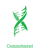 1409675936.262comm.png 1409675936.262comm.png